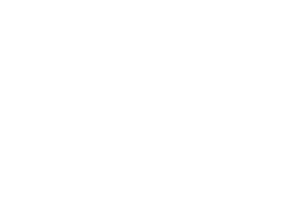 De Zwart Media